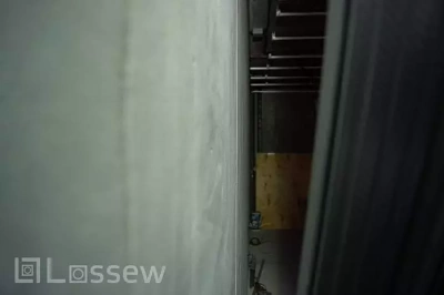 LOSSEW LAMP P2 малярный светильник проявочный, лампа